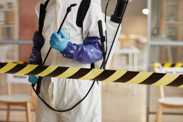 Professional Sewage Cleanup technician working in Port Norris, NJ